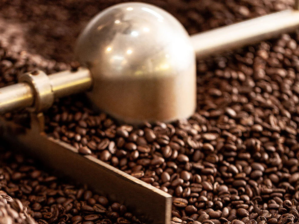 Wissenswertes über den einzigartigen kenianischen Kaffee
